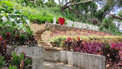 Cebu Business Directory - Springpark Mountain Resort - Photo 1
