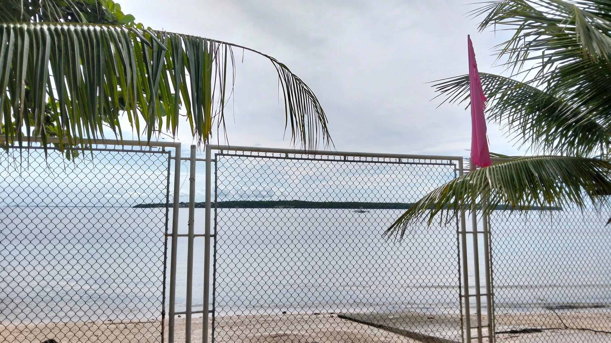 Cebu Business Directory - Palms Seaside Inn - Gallery 3