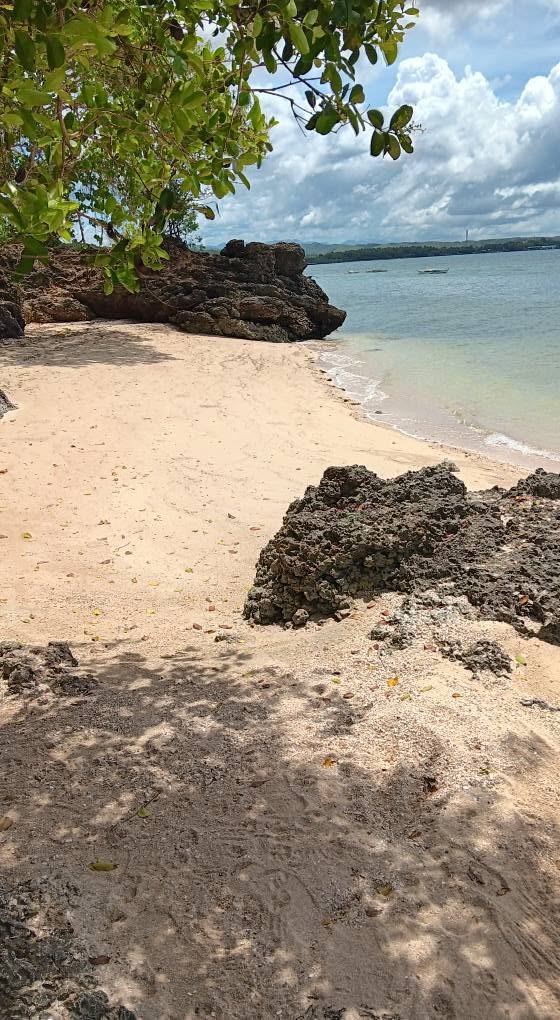 Cebu Business Directory - Pa Nando Beach Resort - Photo 3