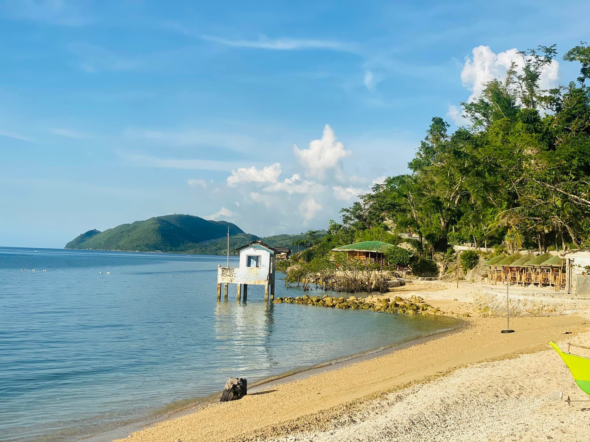 Cebu Business Directory - Anahaw Beach Resort - Photo 3