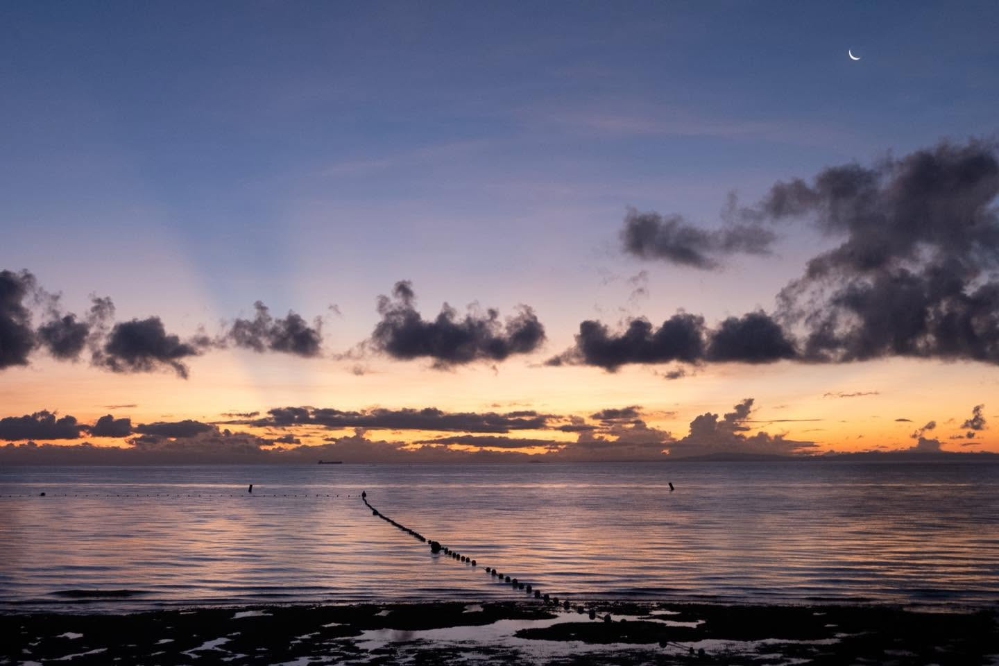 Cebu Business Directory - Reef Side - Photo 2
