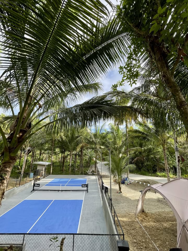 Cebu Business Directory - Hillside Pickleball - Gallery 3
