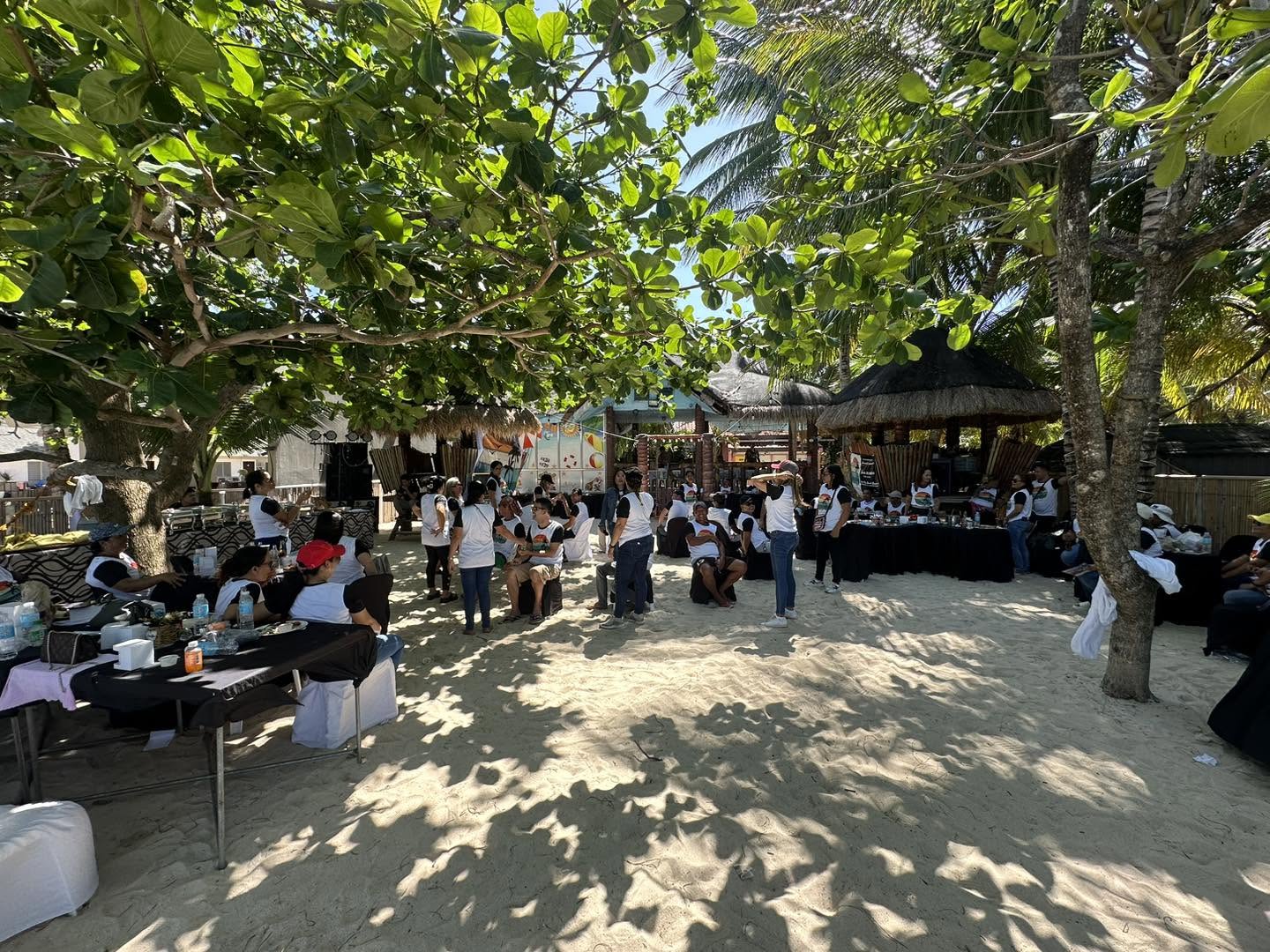 Cebu Business Directory - North Ville Beach Resort by Cocotel - Photo 3