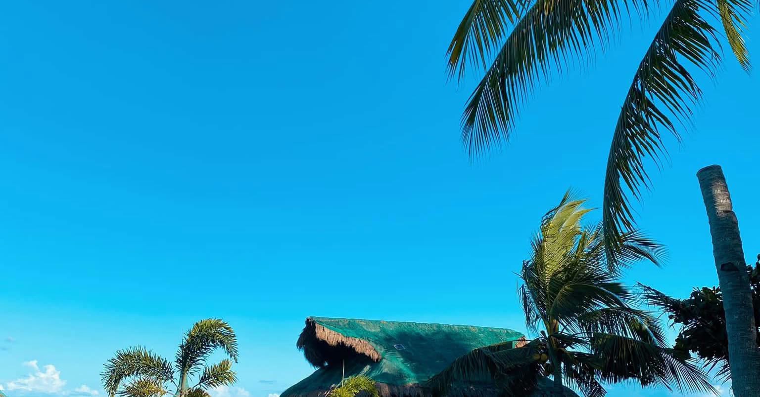 Cebu Business Directory - Juban Garden Resort - Photo 3