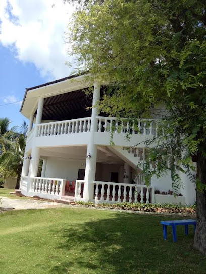 Cebu Business Directory - Kiwi's Hidden Resort - Photo 2