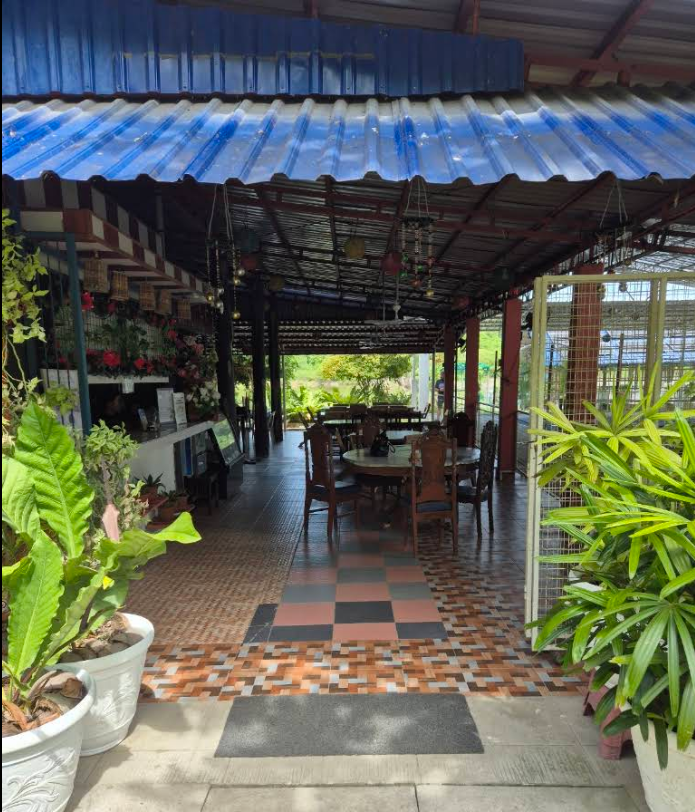 Cebu Business Directory - The Big Dipper - Photo 1