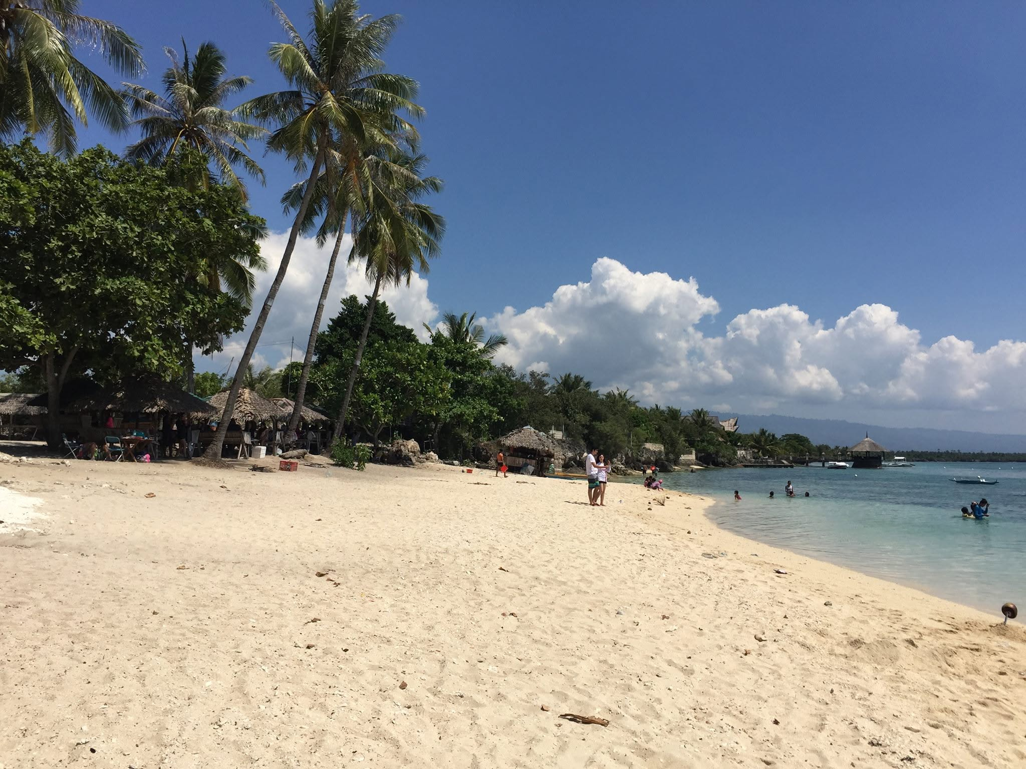 Cebu Business Directory - Coral Blue Moalboal Resort - Photo 2