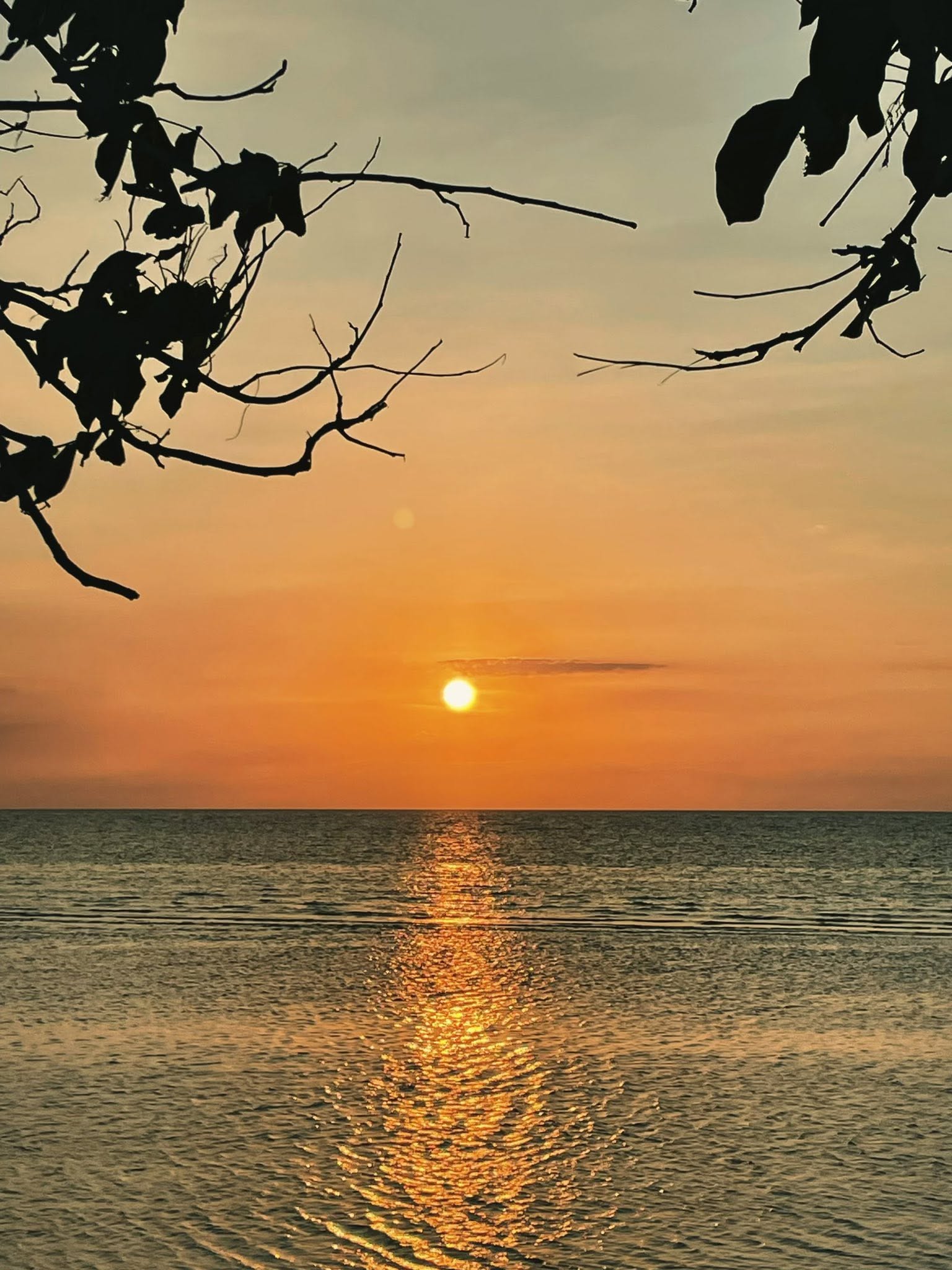 Cebu Business Directory - Half Moon Beach - Gallery 1