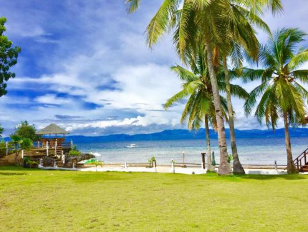 Cebu Business Directory - Tauig Beach Resort - Photo 2