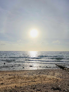 Cebu Business Directory - Golda Coast Resort - Oslob - Gallery 2
