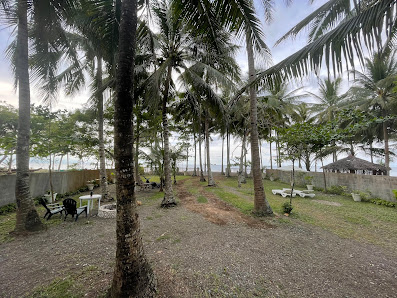 Cebu Business Directory - Gerona Punta Beach - Photo 1