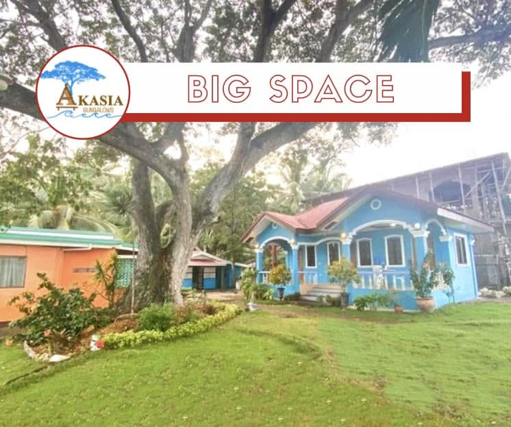 Cebu Business Directory - Akasia Bungalows - Photo 3