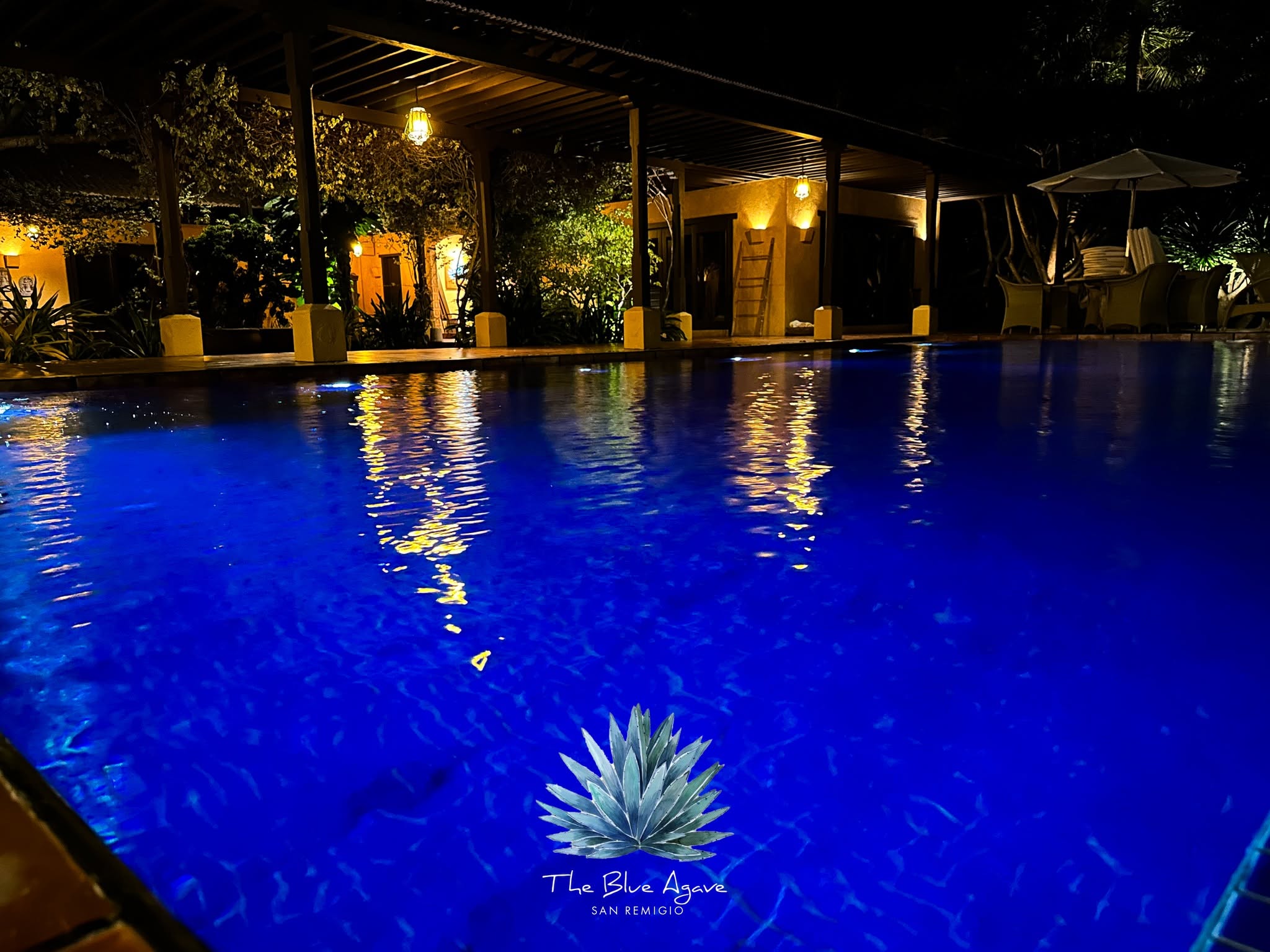 Cebu Business Directory - The Blue Agave - Photo 2