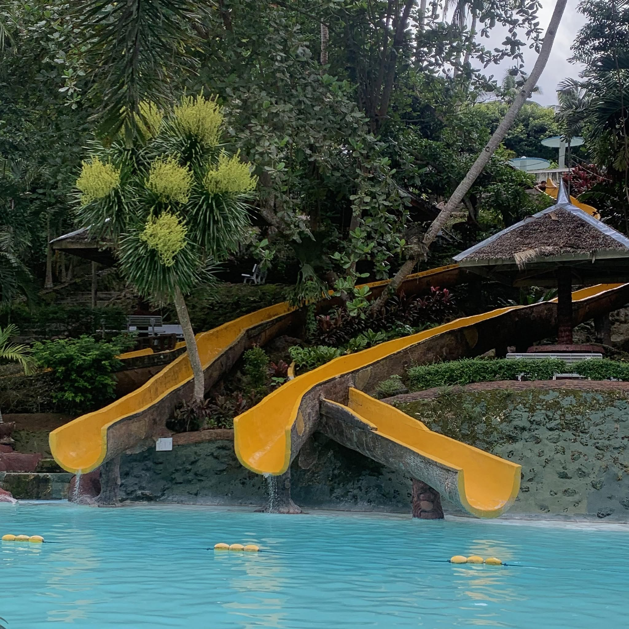 Cebu Business Directory - Gatubod Spring Resort logo