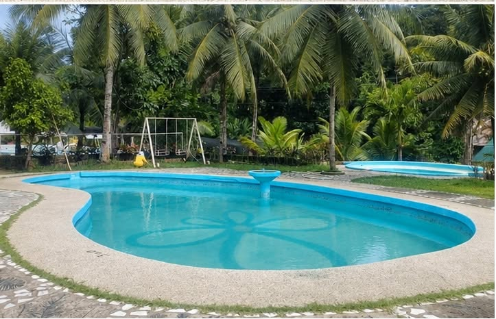 Cebu Business Directory - Springpark Mountain Resort - Photo 2