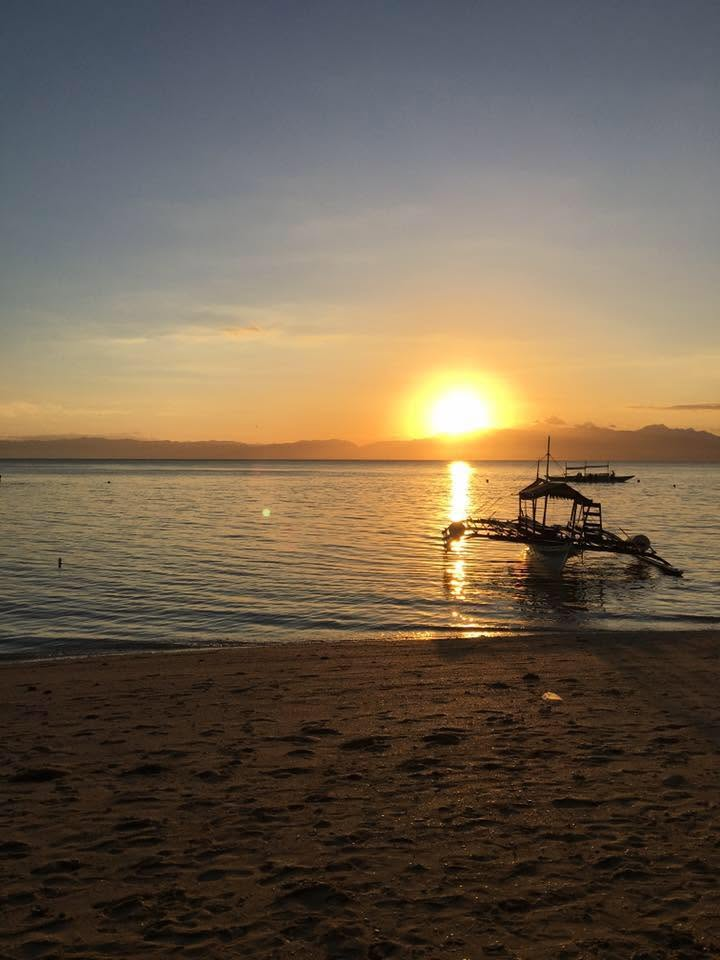 Cebu Business Directory - Coral Blue Moalboal Resort - Photo 3