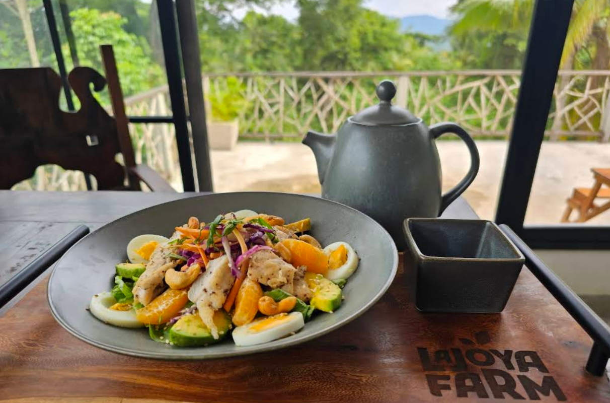 Cebu Business Directory - Umani Restaurant - Photo 2
