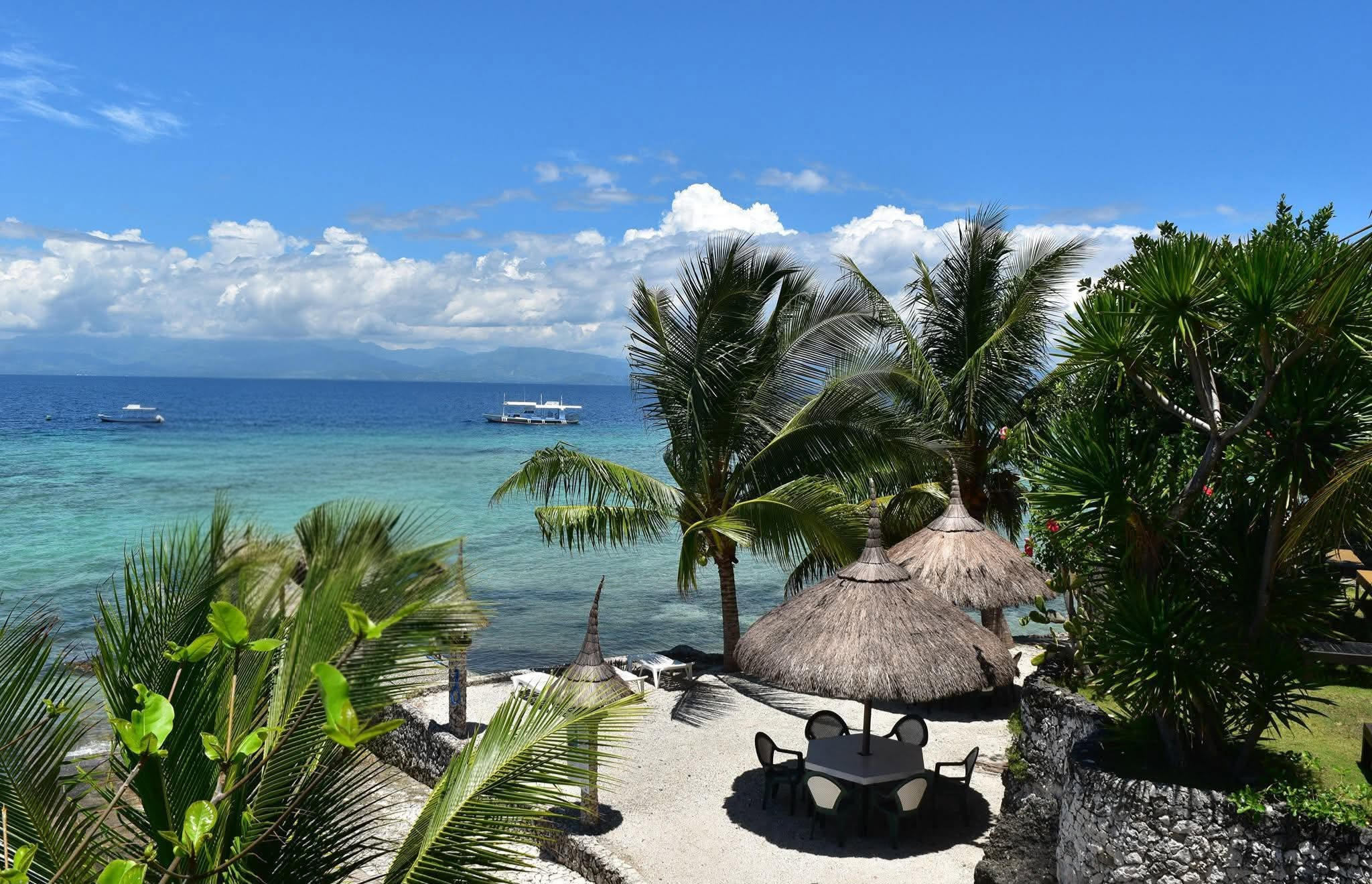 Cebu Business Directory - Dolphin House Resort - Photo 2