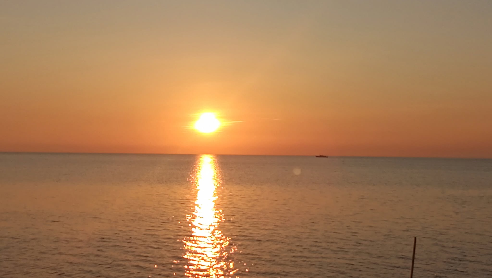 Cebu Business Directory - SASU Salazar Sunset Beach Resort - Gallery 2