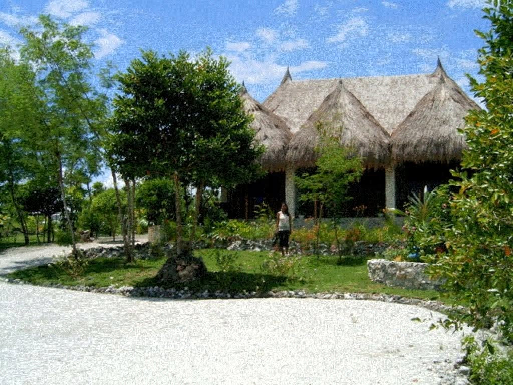 Cebu Business Directory - Sea Turtle House Beach Resort Moalboal - Gallery 3