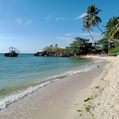Cebu Business Directory - Tree Sunset Beach Resort - Photo 1