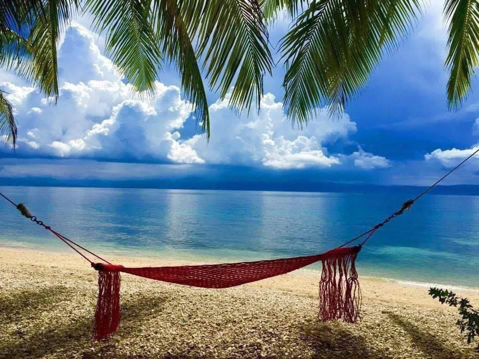 Cebu Business Directory - Casey's Haven Beach Resort - Photo 2