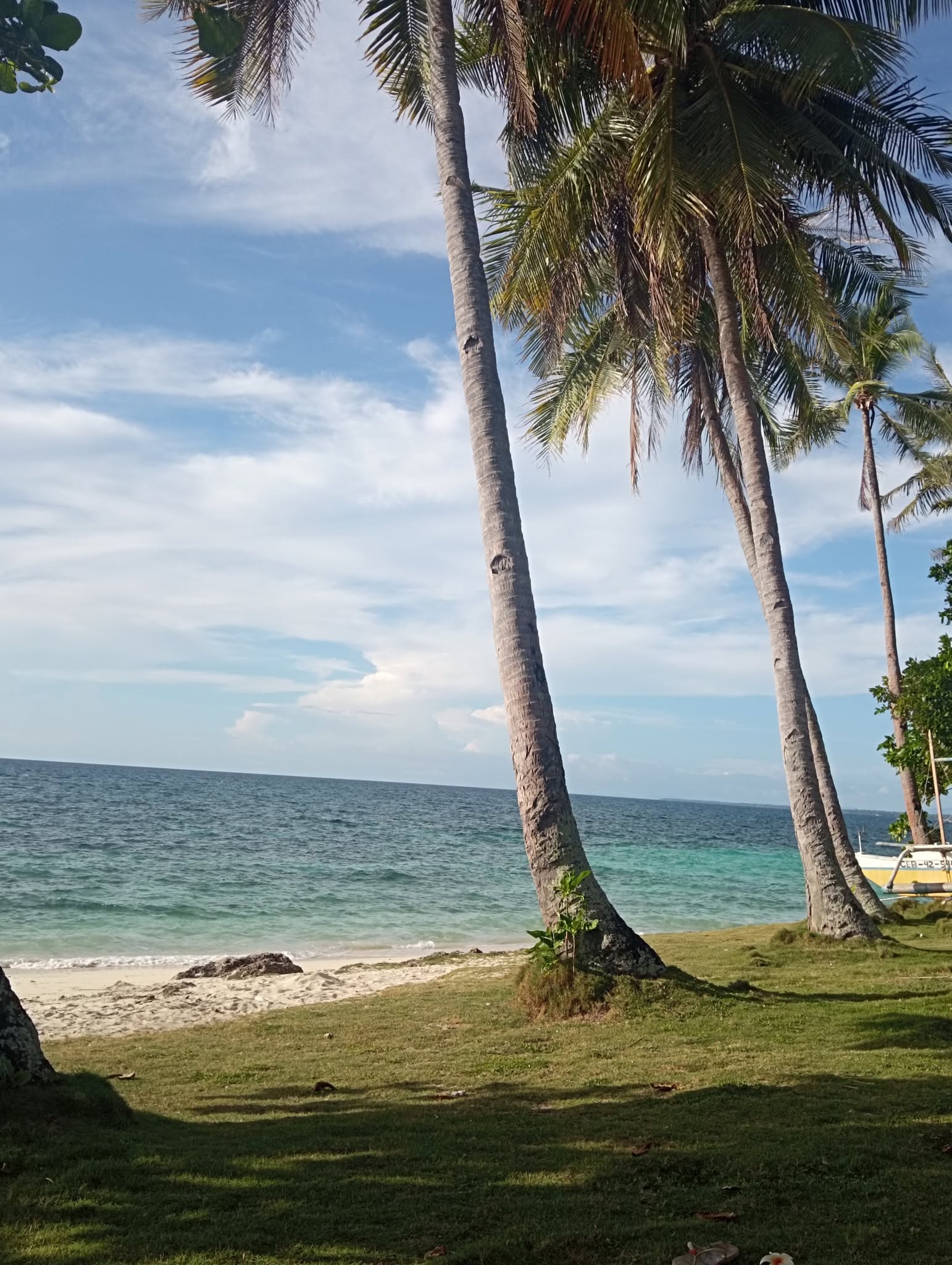 Cebu Business Directory - Palanas White Sand Beach Resort - Photo 2