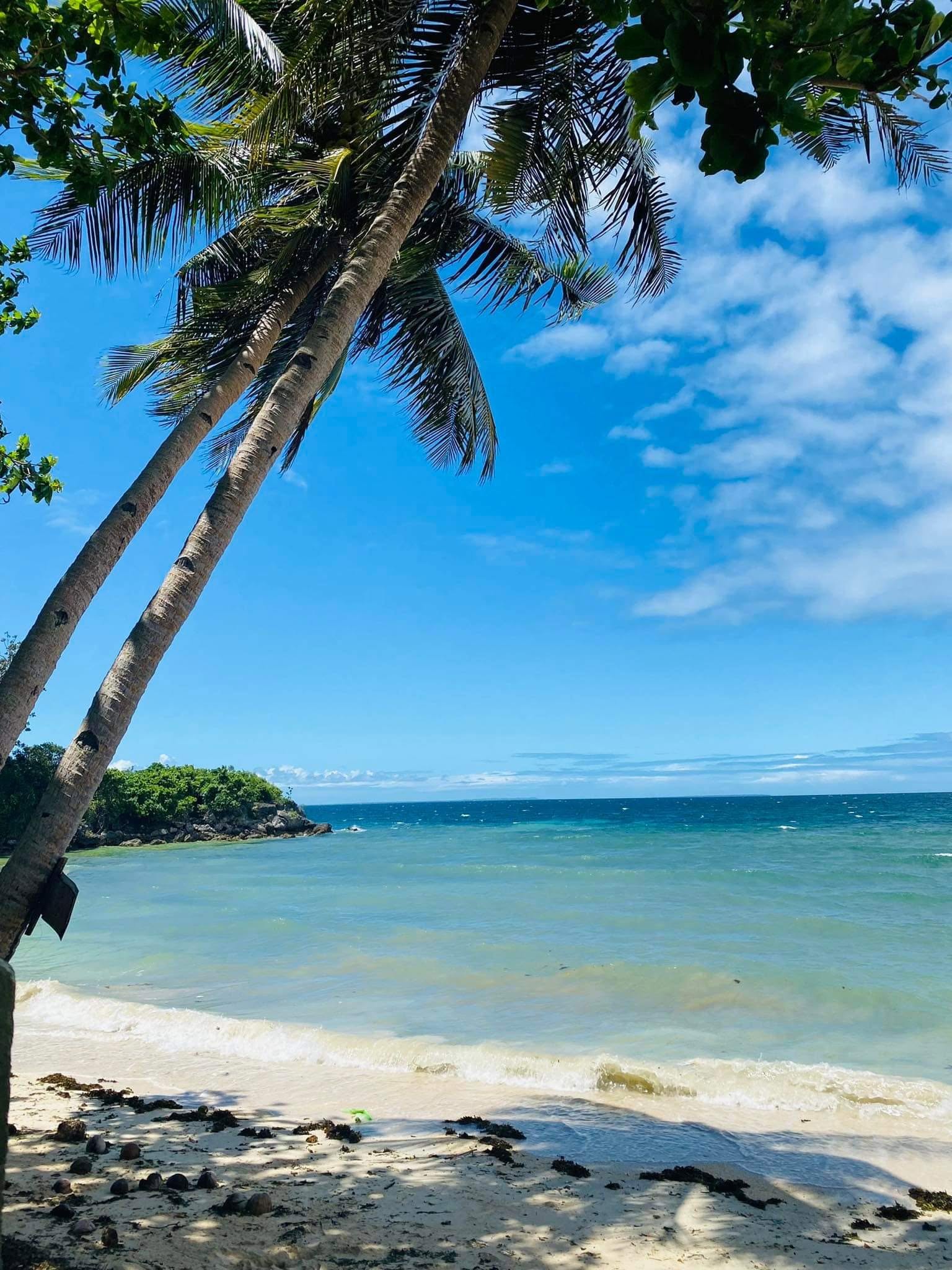 Cebu Business Directory - Bancasan cottages - Gallery 3
