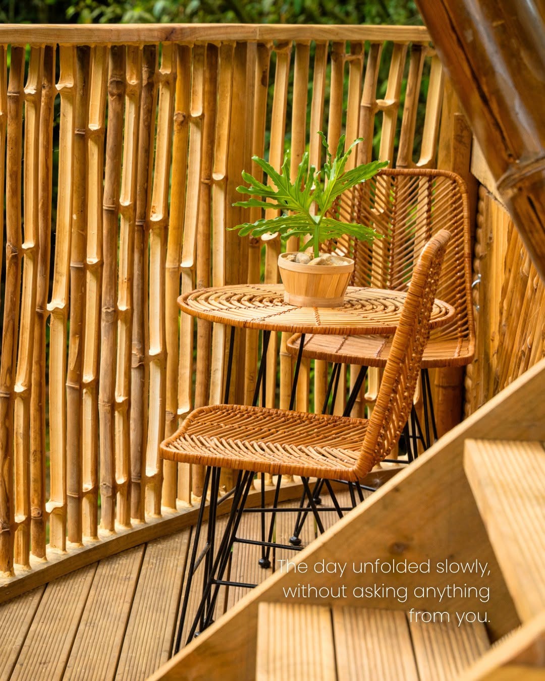 Cebu Business Directory - Treehouse de Valentine Mountain Resort - Photo 2