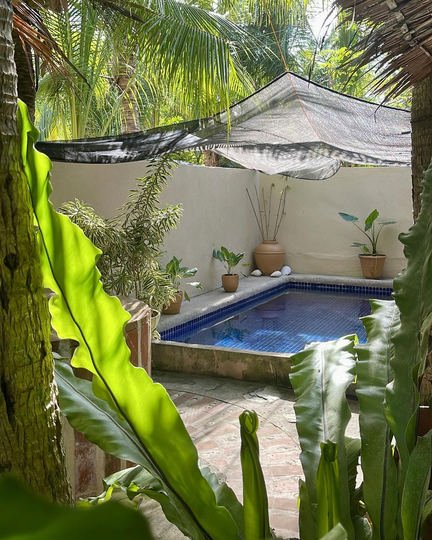 Cebu Business Directory - Alectis Pasir Ris - Beach Resort - Gallery 3