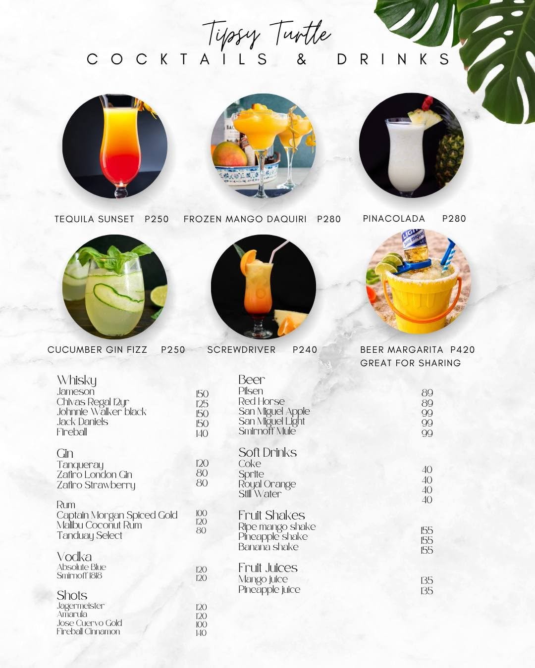 Cebu Business Directory - Tipsy Turtle - Photo 3