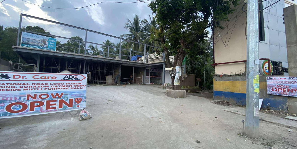 Cebu Business Directory - Dr. Care Animal Bite Center Catmon - Photo 2