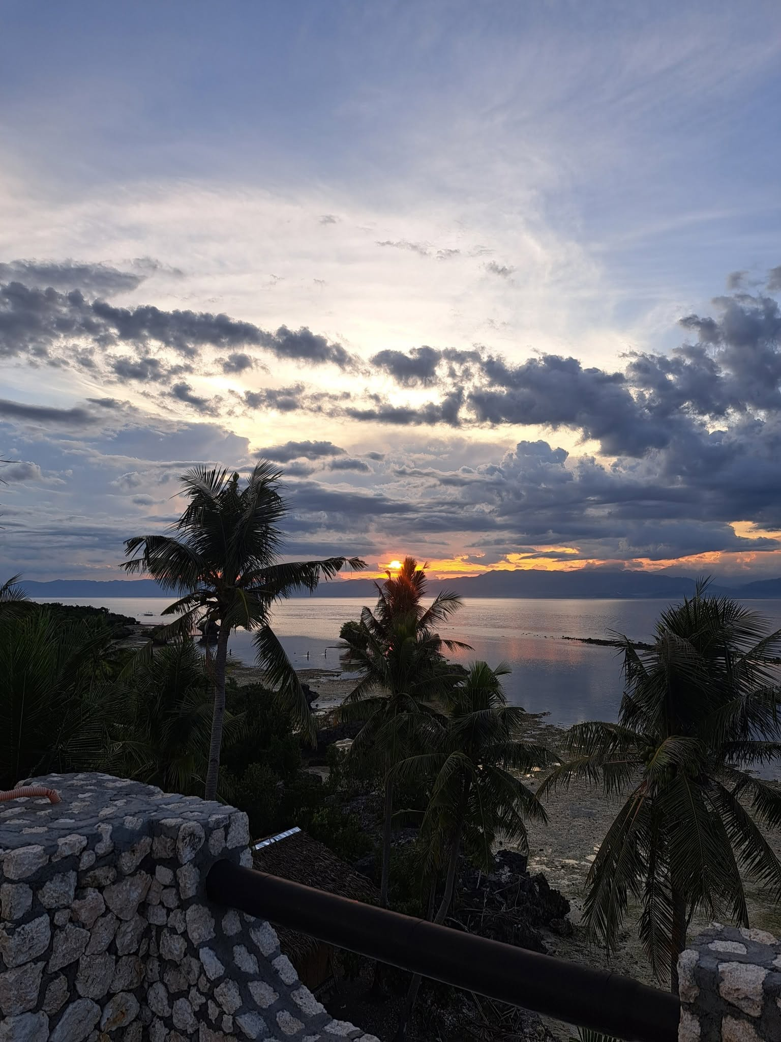 Cebu Business Directory - The Wild Orchid Resort - Photo 2