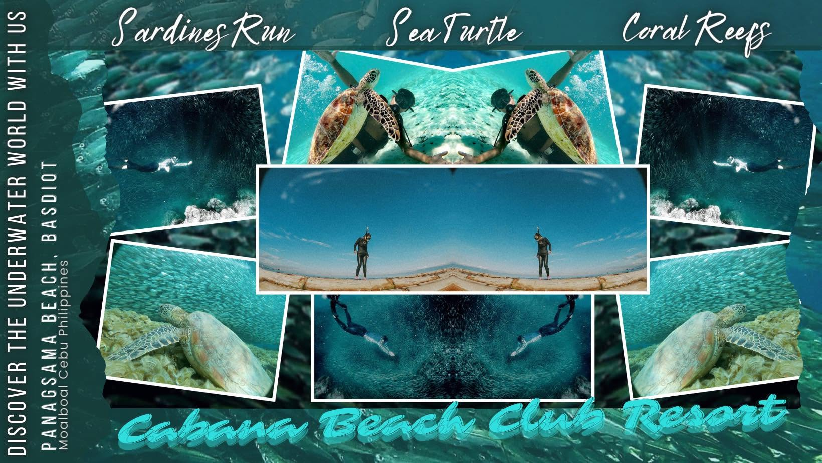 Cebu Business Directory - Cabana Beach Club Resort - Photo 3