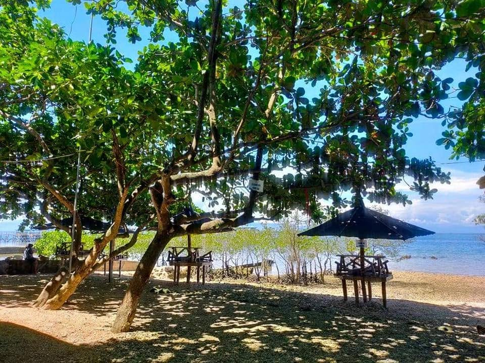 Cebu Business Directory - TAGO DIRI - Photo 3