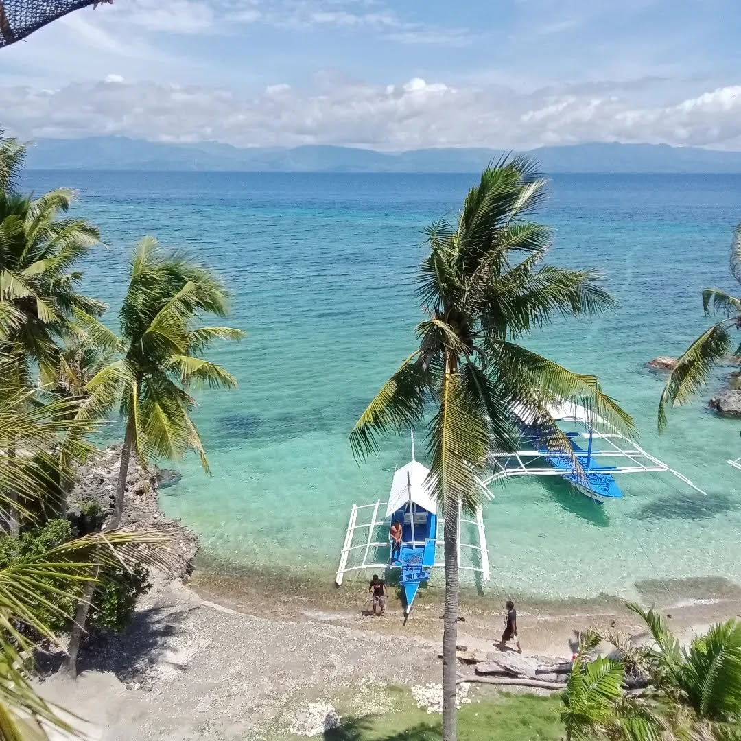 Cebu Business Directory - The Wild Orchid Resort - Photo 3