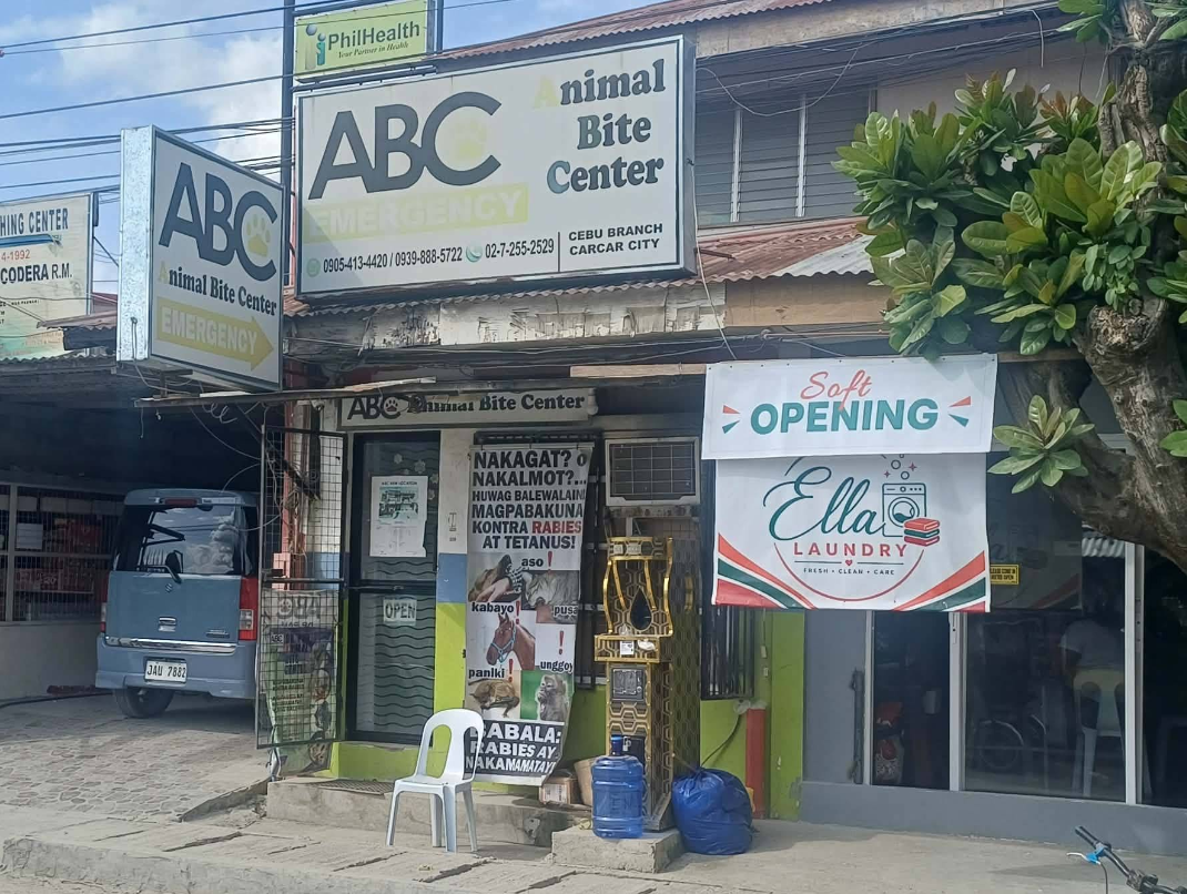 Cebu Business Directory - Dr Pau Animal Bite Center - Carcar 2 - Photo 2