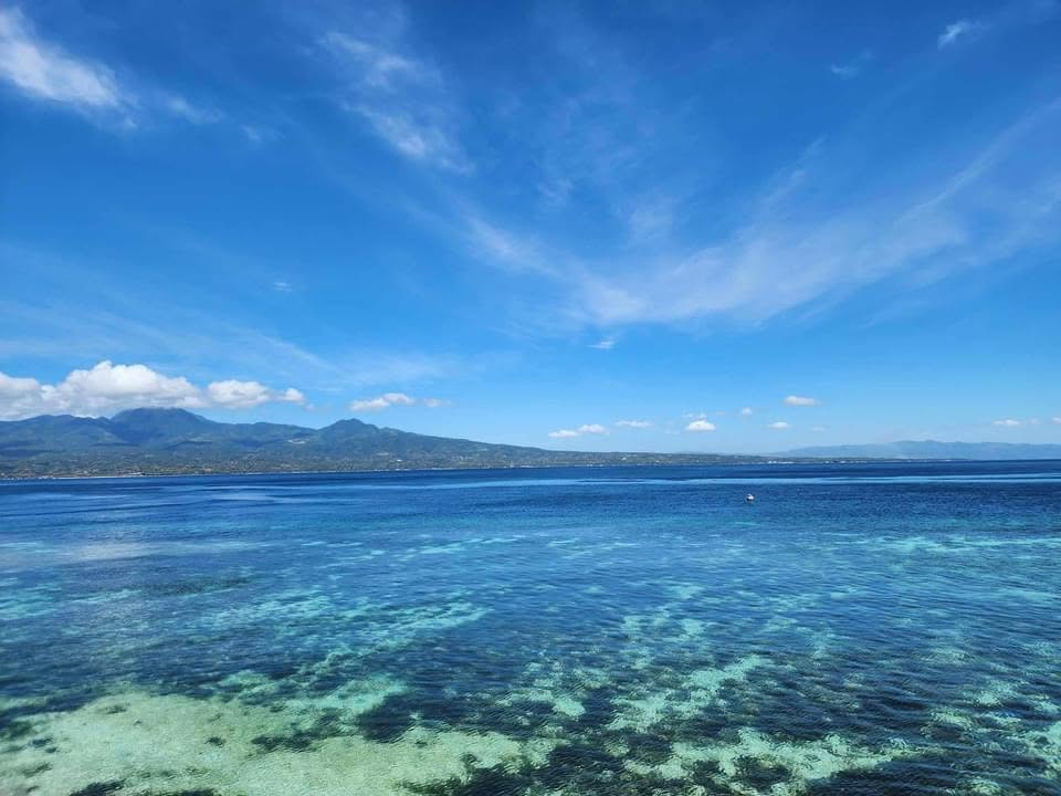 Cebu Business Directory - Sea Terraces Beach Dive Resort - Photo 2