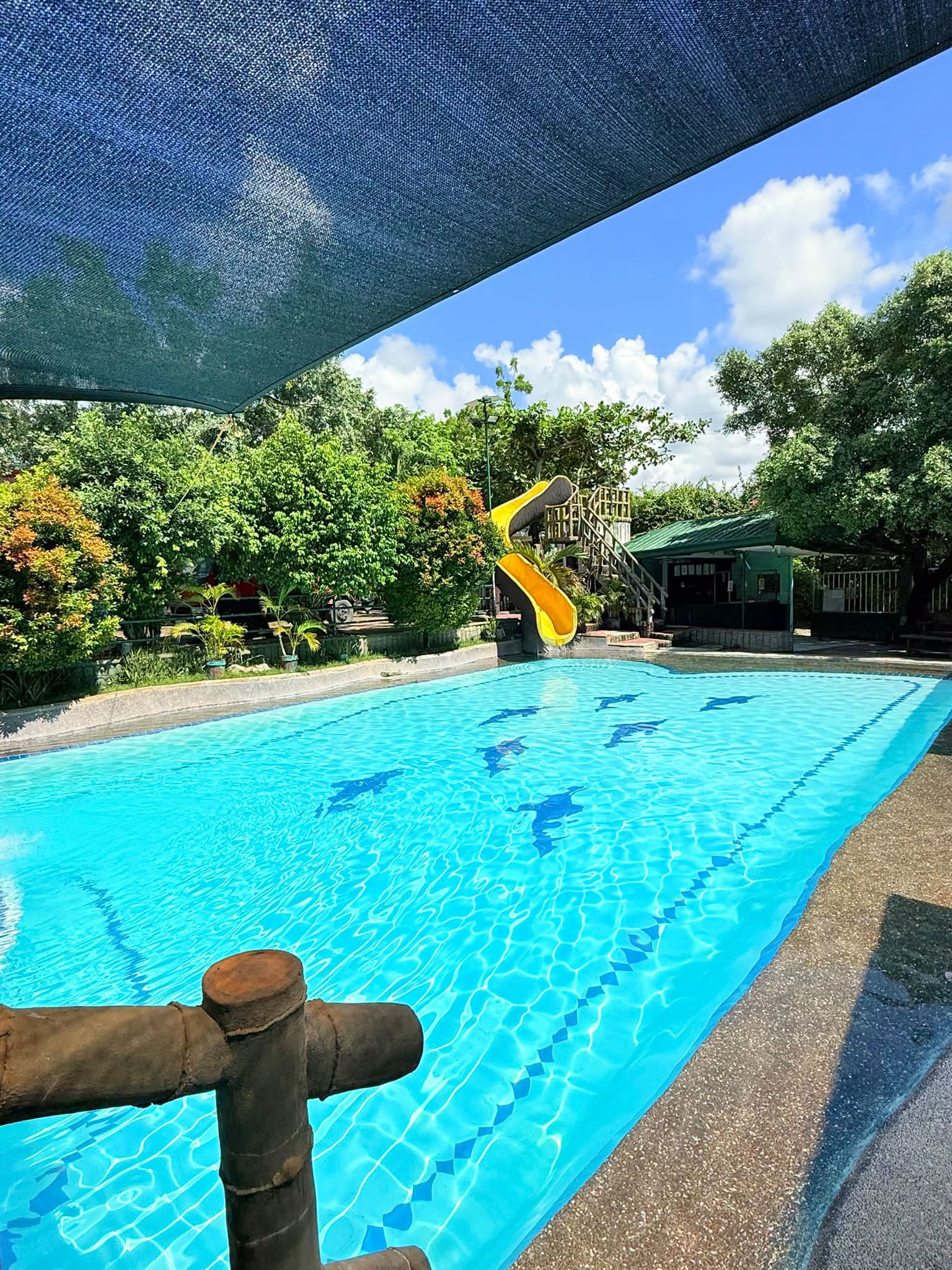 Cebu Business Directory - Twilight Pool - Photo 2