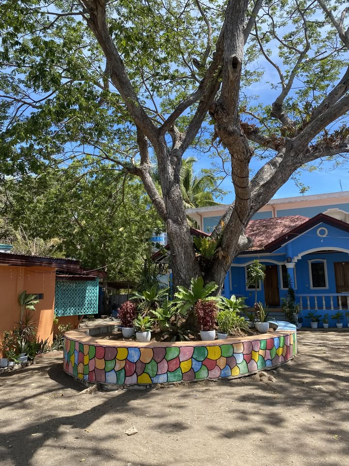 Cebu Business Directory - Akasia Bungalows - Photo 2
