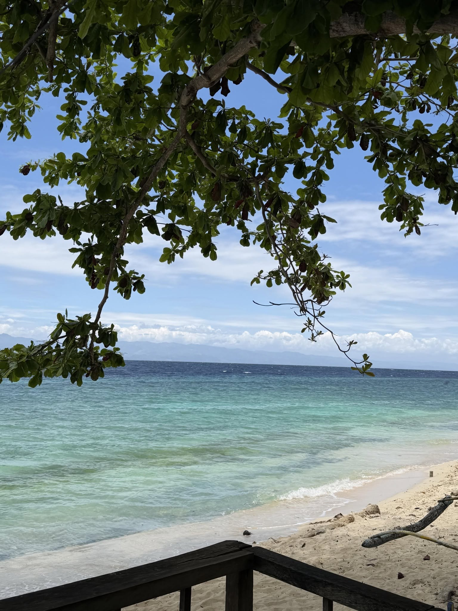 Cebu Business Directory - Bluewaves Resort - Gallery 2