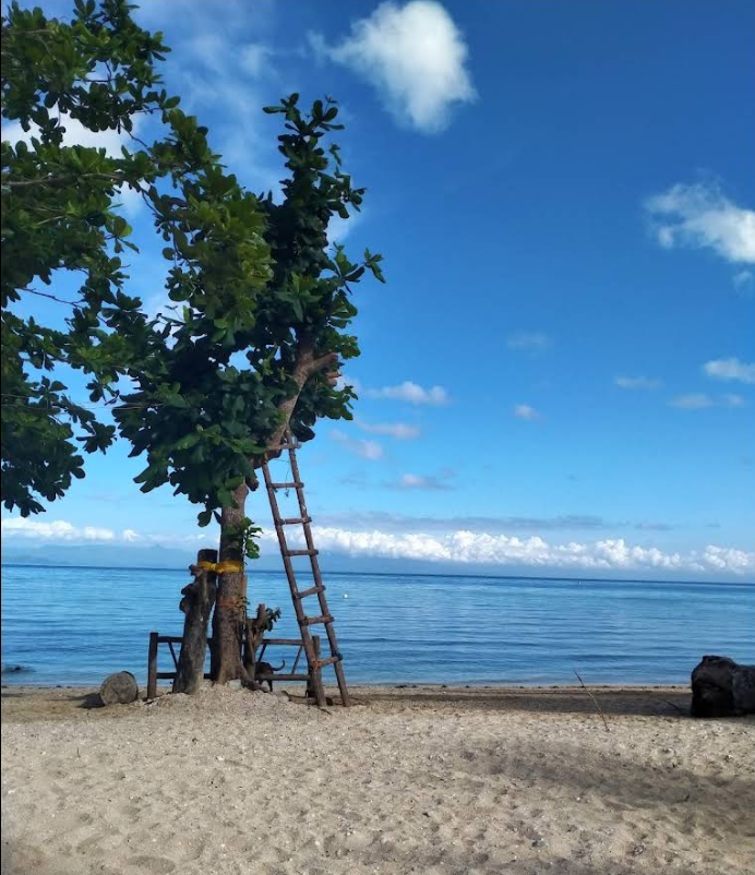 Cebu Business Directory - Aranas Beach Resort - Photo 2
