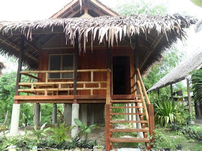 Cebu Business Directory - Sea Turtle House Beach Resort Moalboal - Photo 1