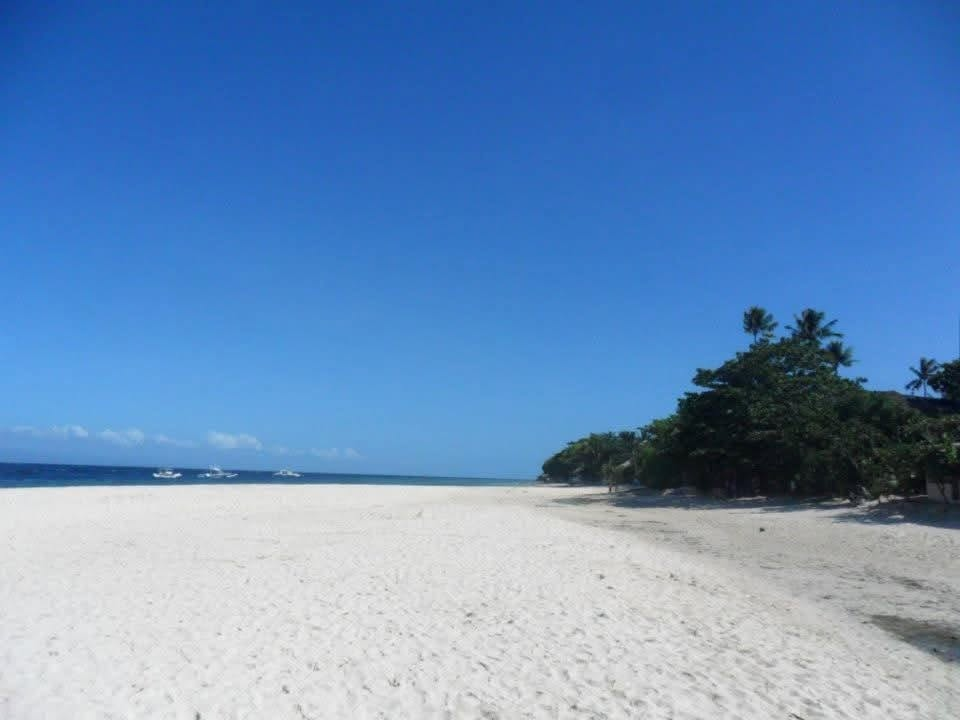 Cebu Business Directory - Faciol's Beach Resort - 1 Star - Gallery 2