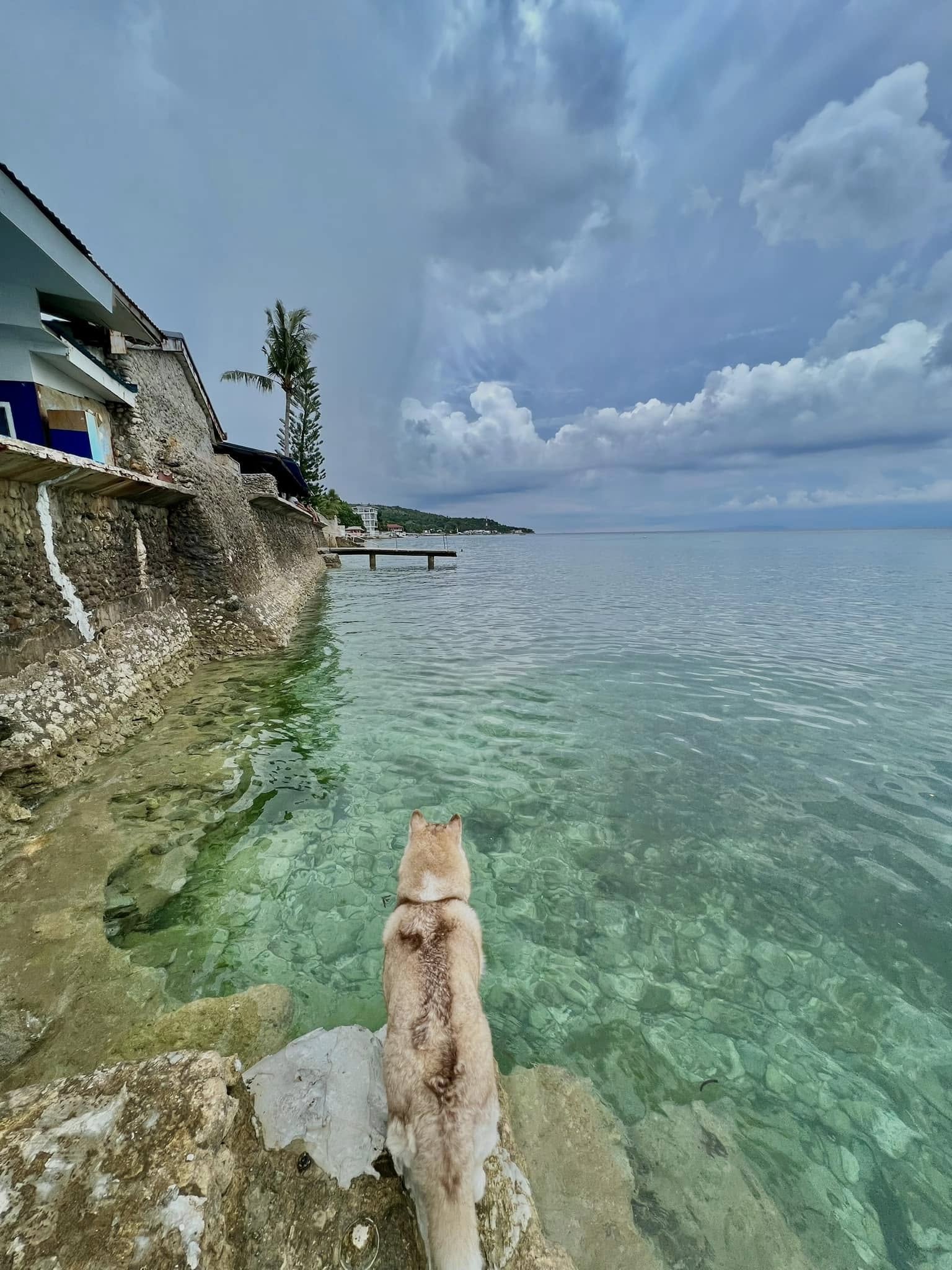 Cebu Business Directory - Giswold Lagunde Beach Resort - Gallery 1