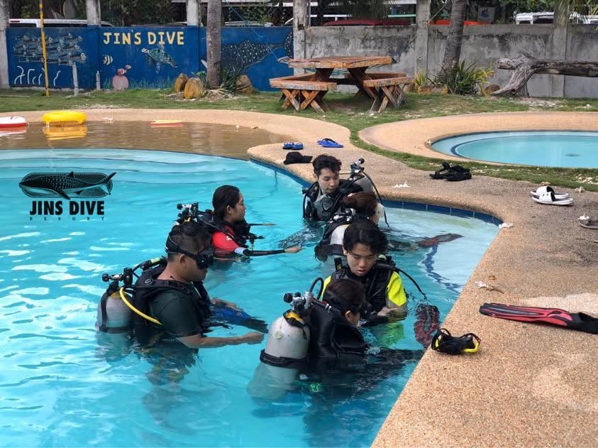 Cebu Business Directory - Jins dive resort - Photo 2