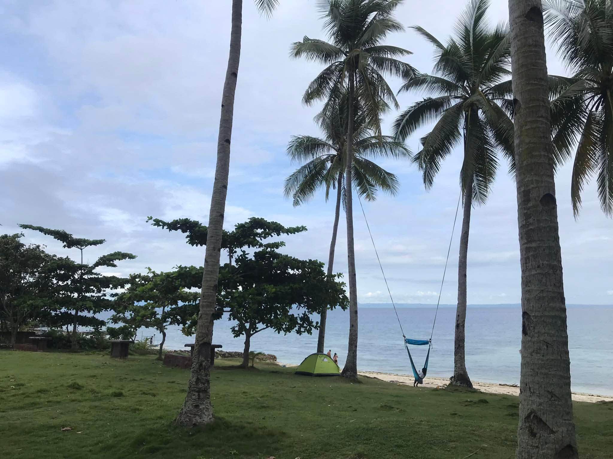 Cebu Business Directory - Aloria Beach Resort - Gallery 3