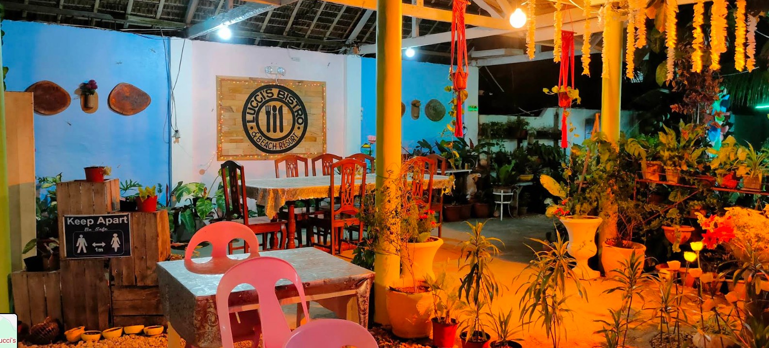 Cebu Business Directory - Lucci's Bistro - Photo 3