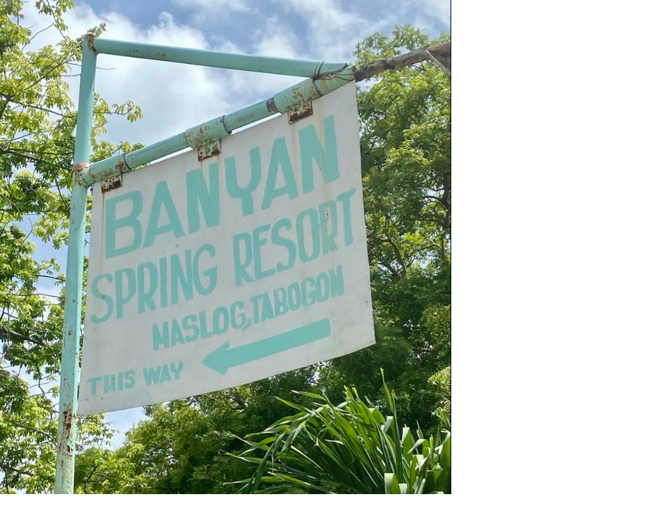 Cebu Business Directory - Banyan Spring Resort logo