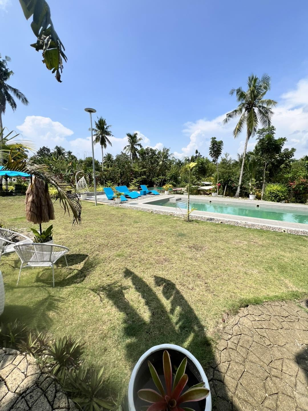 Cebu Business Directory - TARA Farm Resort / Lamini Grill - Photo 1